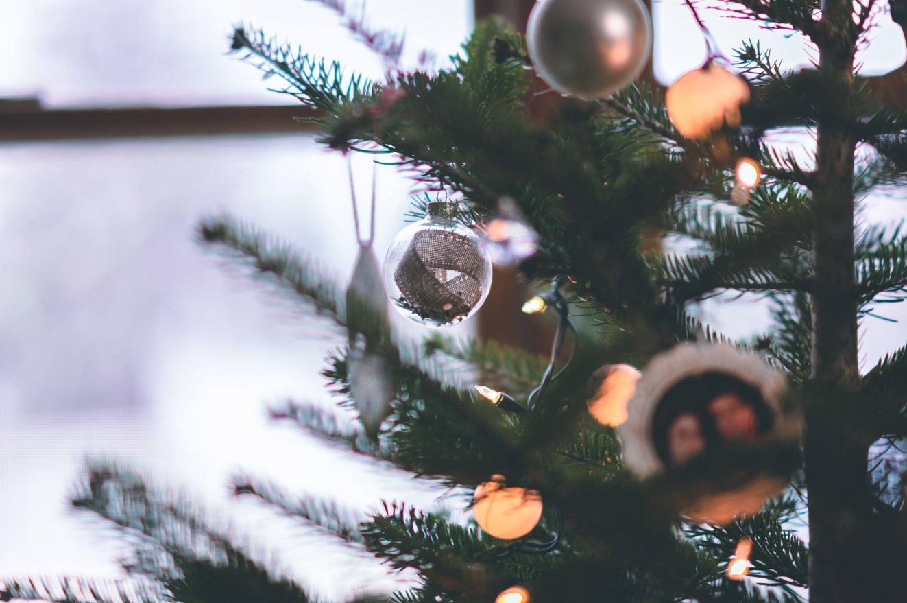 Green Artificial Christmas Trees Bring Healing and Growth